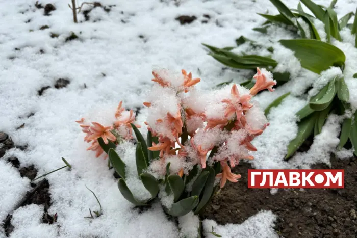 Constant snowfall in Ukraine April 2021