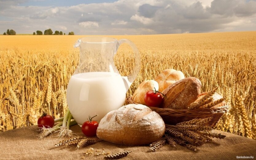 Preise für Lebensmittel im Juni: Wo man Öl, Brot und Milch günstiger kaufen kann