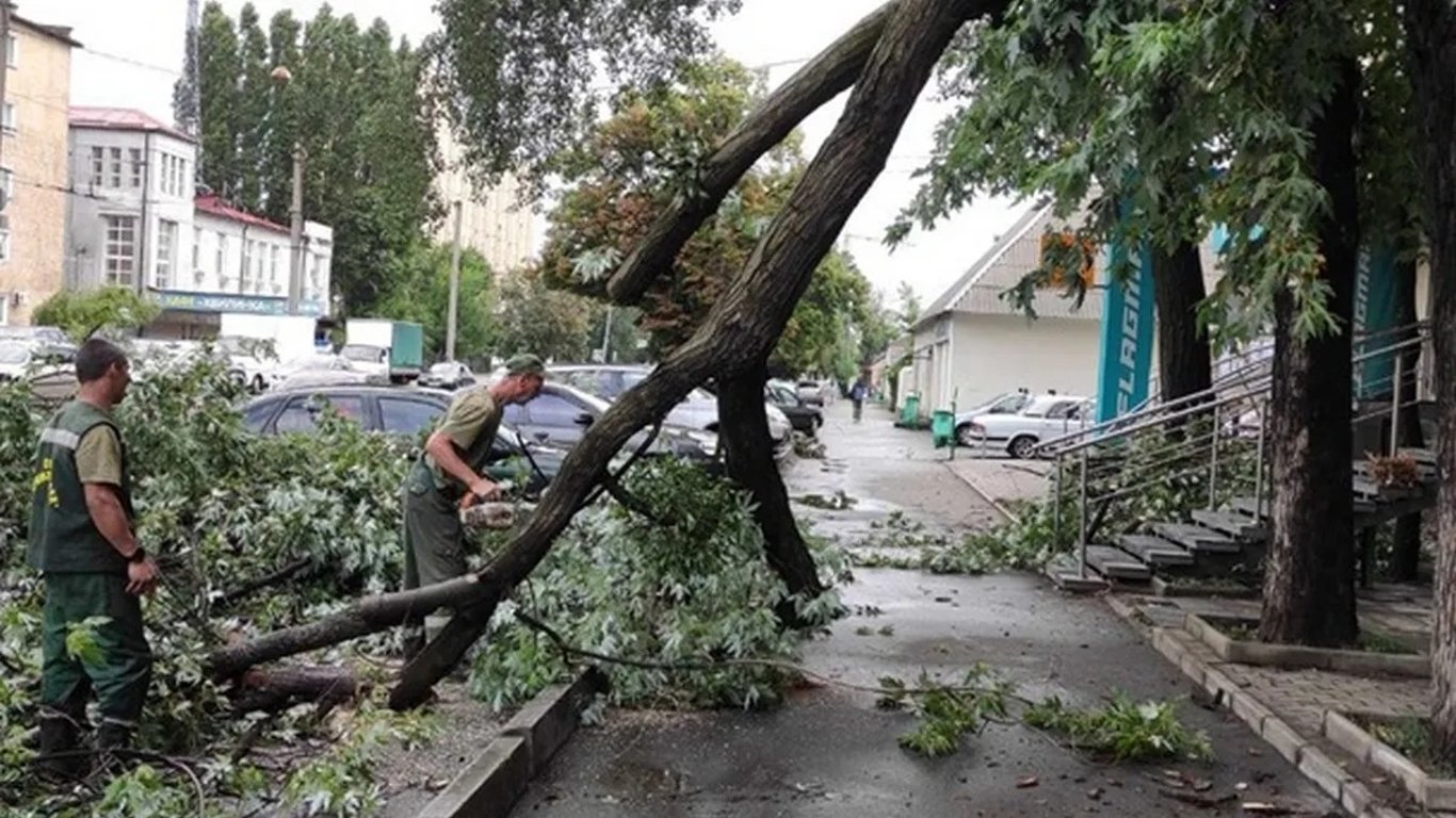 В Харькове разгулялась стихия — на ребенка упало дерево
