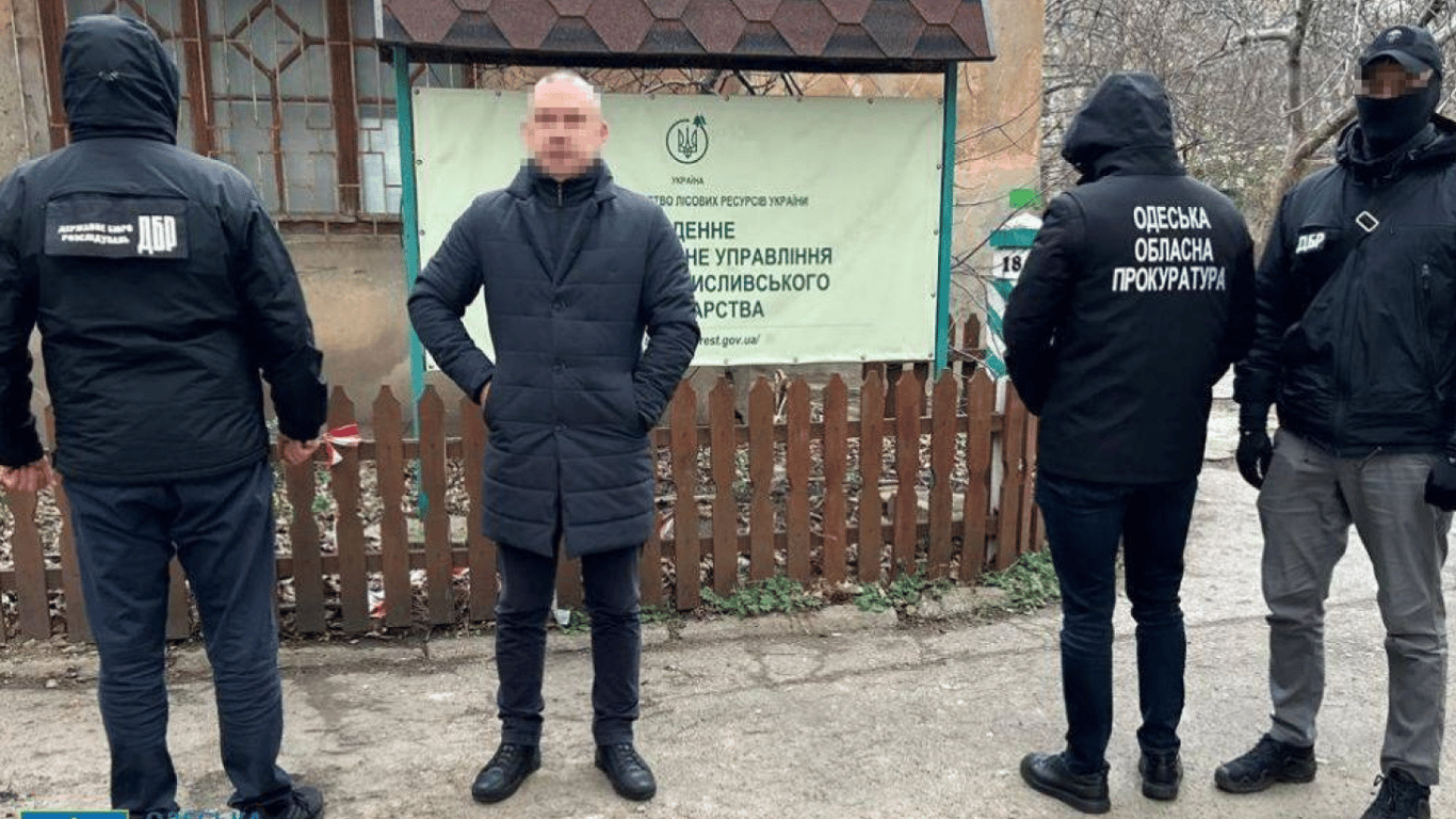 Hunters' certificates at a low price - officials are being tried in Odesa