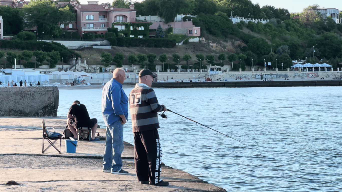 The ecologist explained whether it is safe to eat seafood from the Black Sea